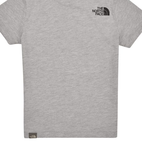 T-shirt-ragazzo-The-North-Face-Boys-SS-Easy-Tee-Grigio-The-North-Face-196013689001-2